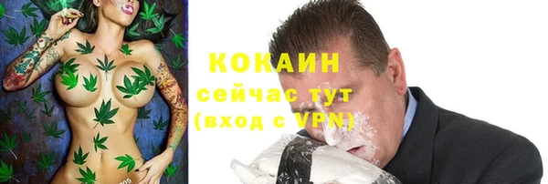 сатива Аркадак