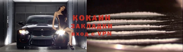 сатива Аркадак